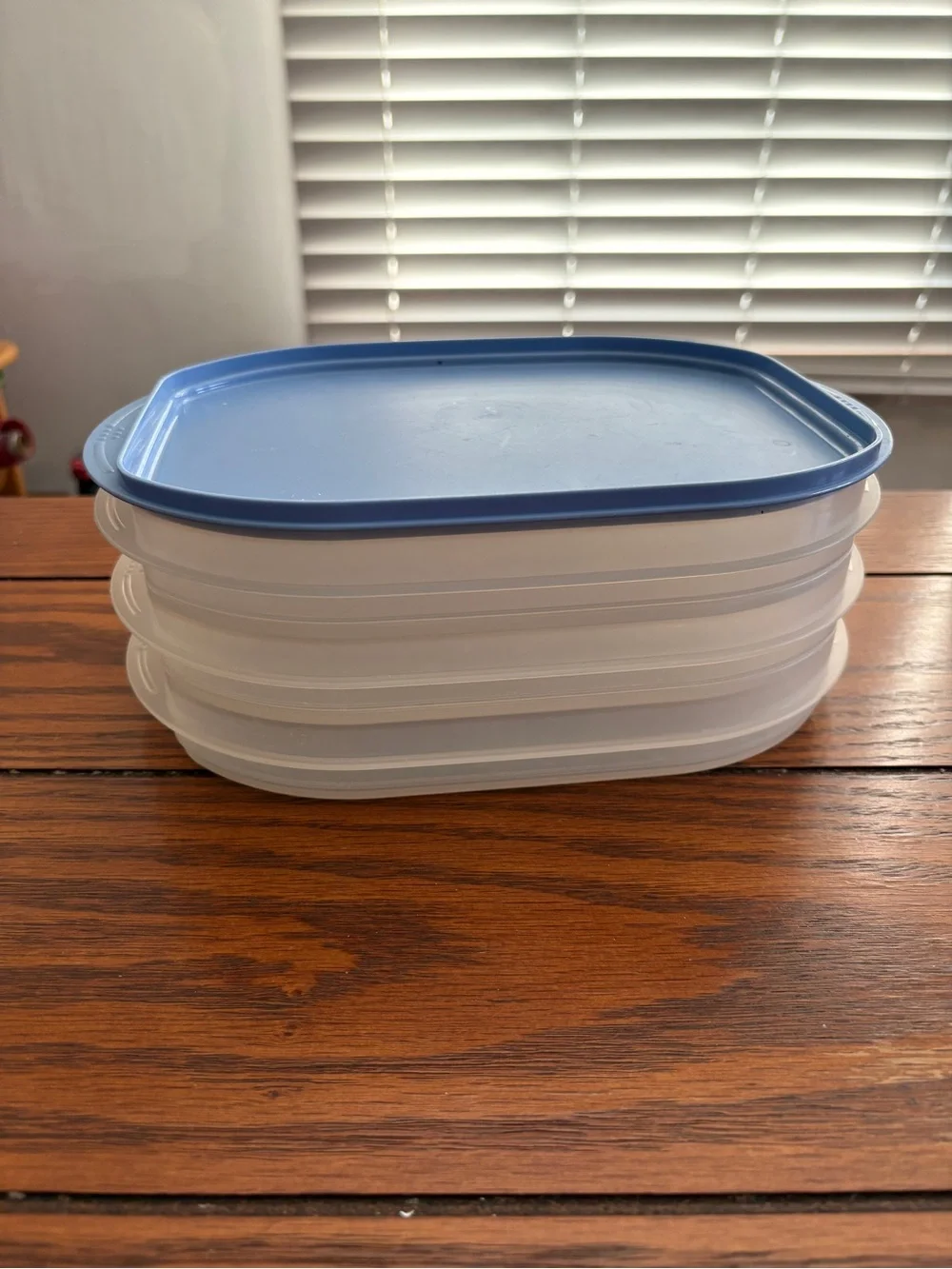 Tupperware deli meat and cheese keeper